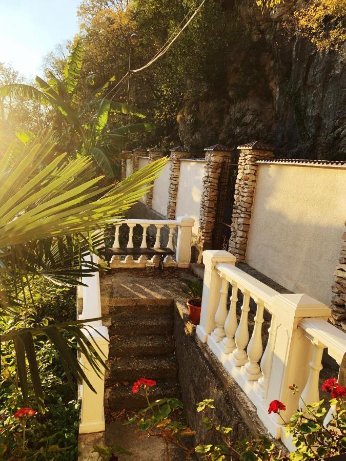 Guest House Chalet Agave Гагра Экстерьер фото